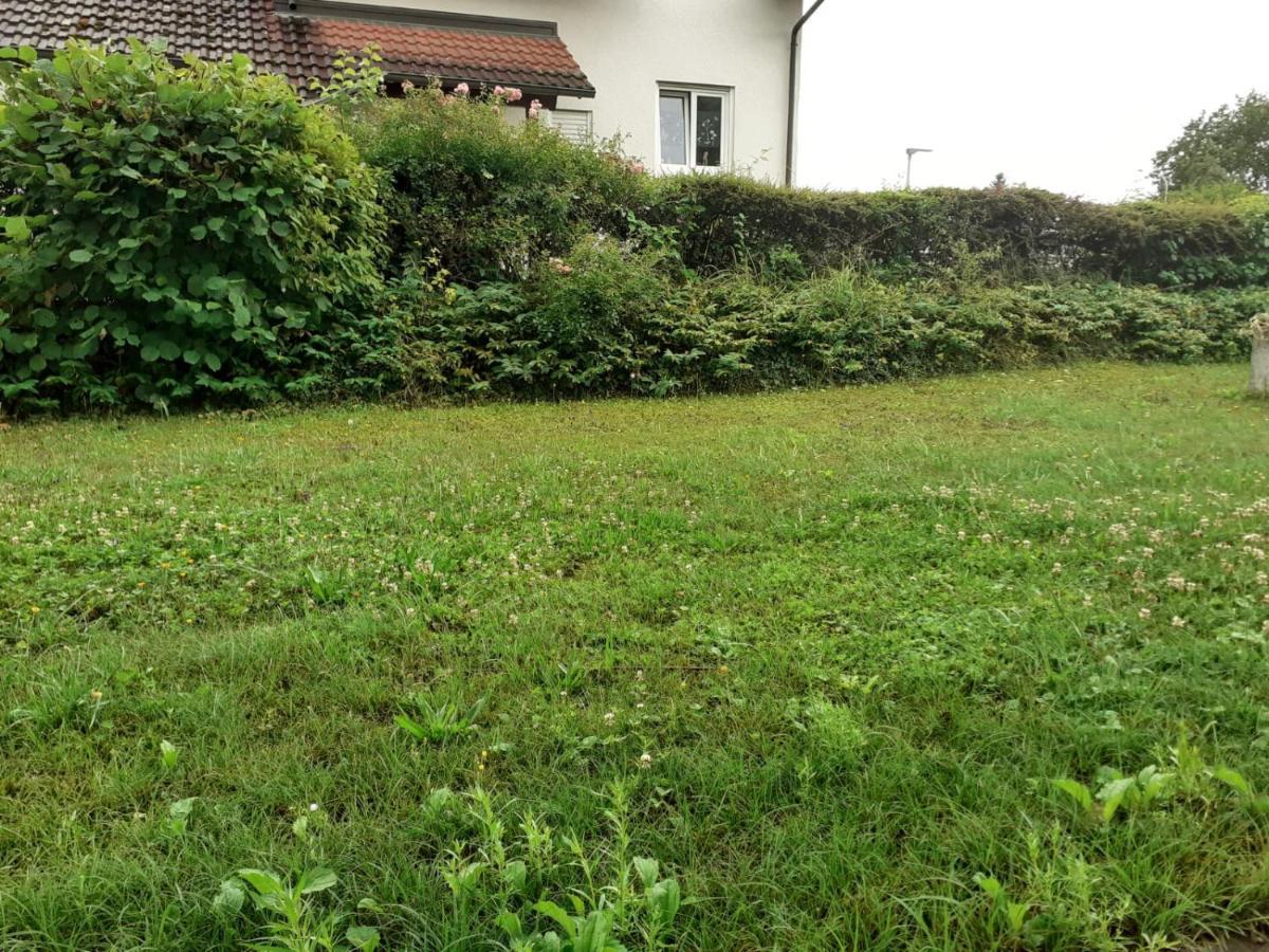 Ferienwohnung Am Kurpark, Gailingen Εξωτερικό φωτογραφία