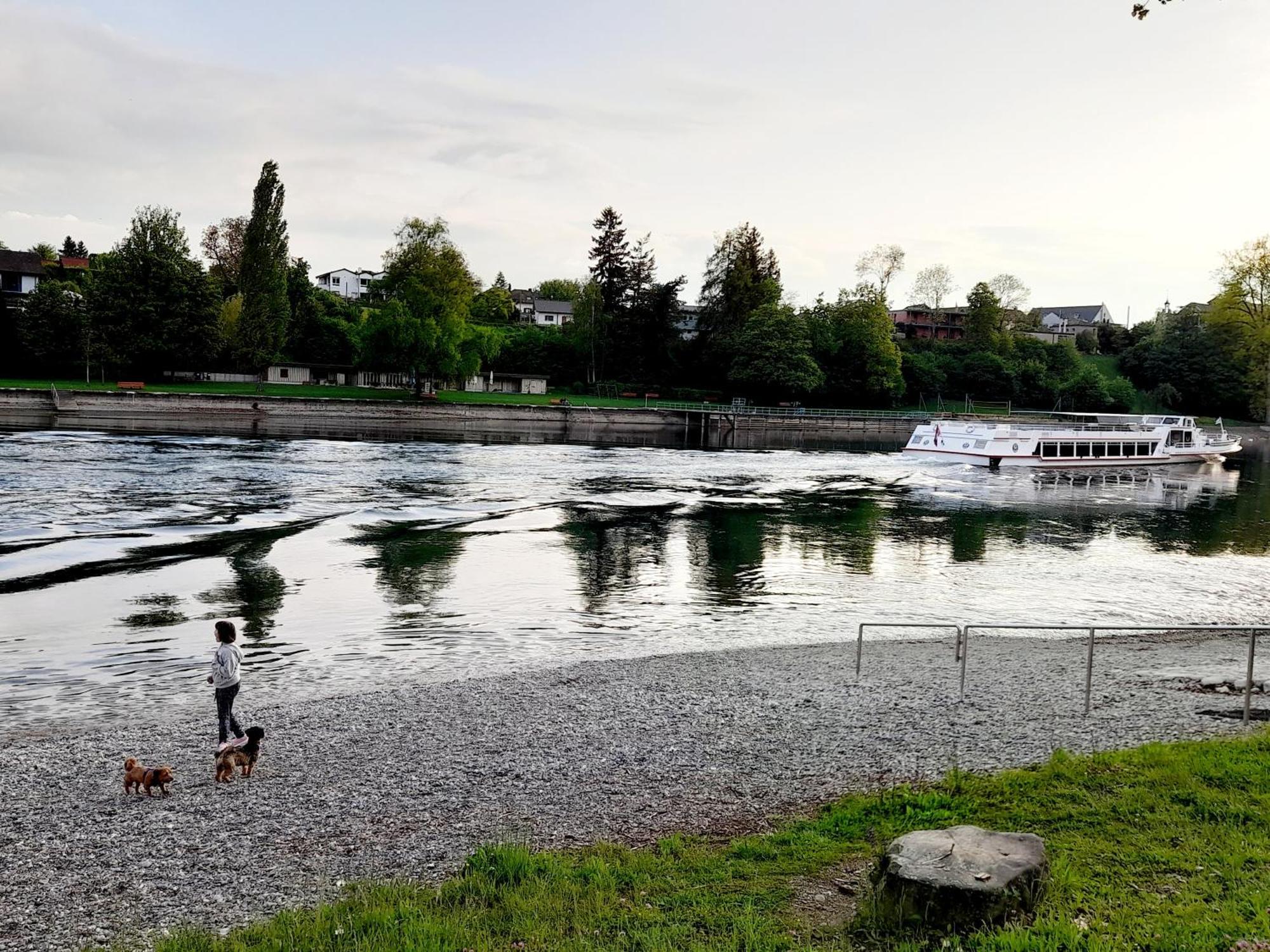 Ferienwohnung Am Kurpark, Gailingen Εξωτερικό φωτογραφία